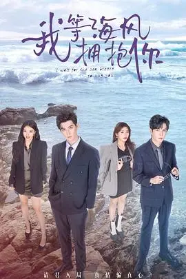 《我等海风拥抱你》：青春、梦想与治愈的海滨物语