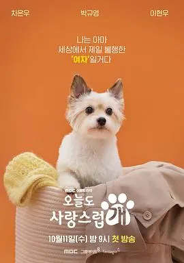 今天也很可爱的狗 海报