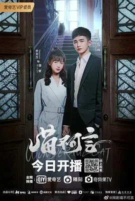 《喵不可言》：当傲娇猫咪遇上毒舌少女，一场治愈与成长的爆笑奇遇